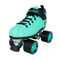 Riedell Dart Skate Arctic Mint