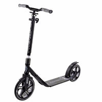 Frenzy 250mm Recreation Scooter Black