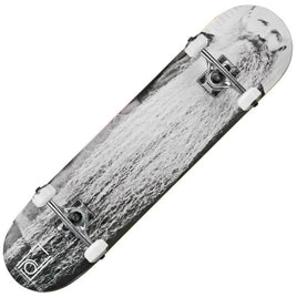RDS Street 30 Series Skateboard THE BEARD Complete